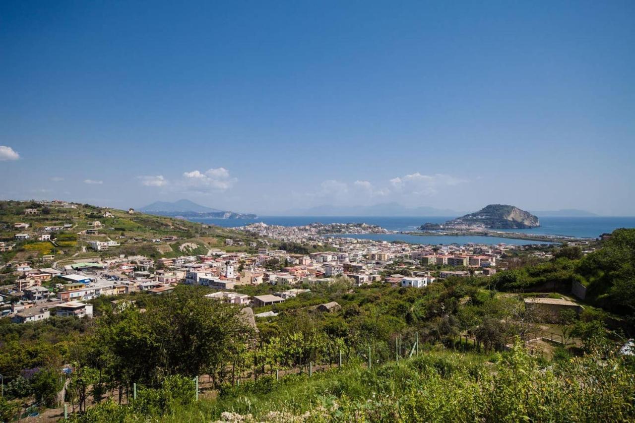 Villa Lamberti Monte di Procida Exterior photo